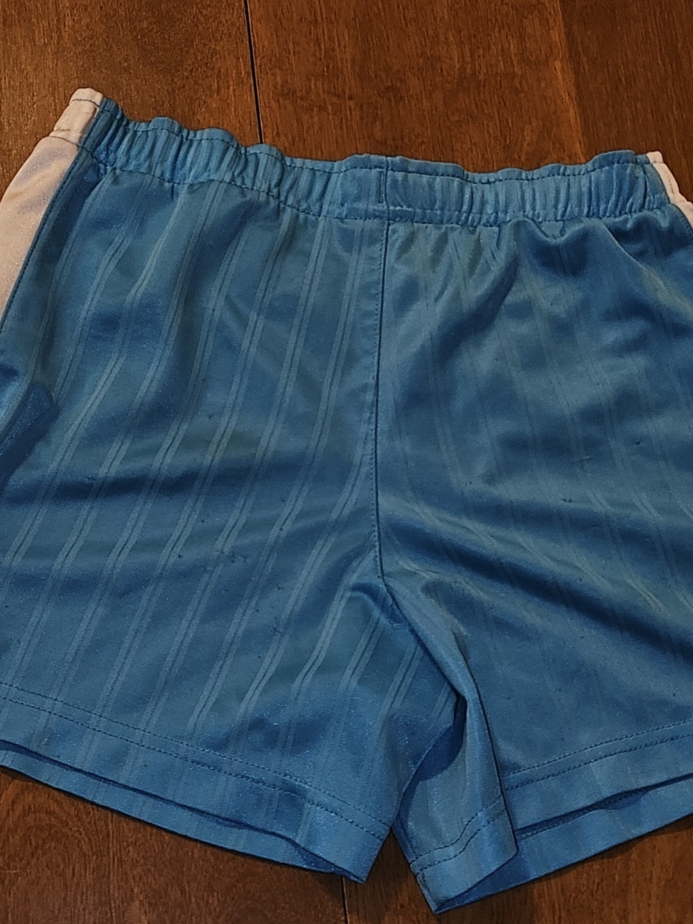 Nike Bright Teal Athletic Shorts